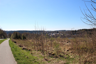 zwischen Silberborn und Neuhaus, Blick auf Neuhaus