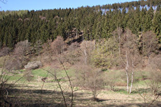 die Holzminde im Rumohrtal