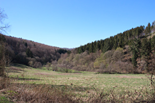 Rumohrtal, Blick nach Norden