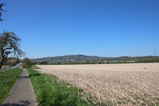 zwischen Elze und Mehle, Blick zum Osterwald …