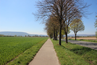 zwischen Mehle und Benstorf, Blick auf Thüster Berg und Ith …