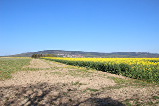 … und Blick auf den Osterwald und den Ort Osterwald