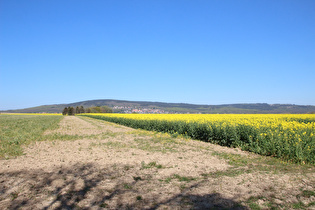 … und Blick auf den Osterwald und den Ort Osterwald