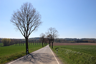 etwas weiter, Blick zum Hasselburg, …