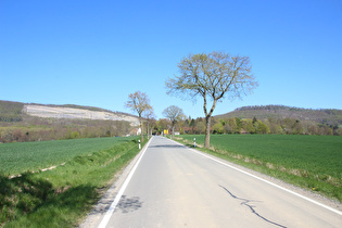 … und Blick über Haus Harderode zum Ith …