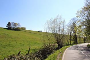 zwischen Bessinghausen und Börry, Blick nach Süden