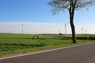 zwischen Lichtenhagen und Eichenborn, Blick zum Köterberg