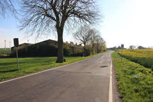 Kreisgrenze am Ostrand von Eichenborn, Blick nach Südwesten …