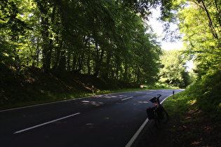 1. Sattelpunkt der Tour zwischen Steinberg und Reuberg, Blick nach Westen …