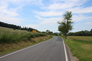 Westrand von Scharfoldendorf, Blick nach Nordwesten