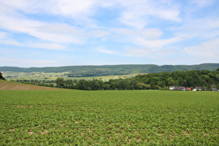 … Blick über das Lennetal zum Ith …