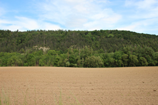 … Blick zum Tuchtberg …