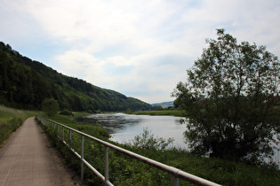 Weserradweg zwischen Rühle und Dölme, Blick flussaufwärts …