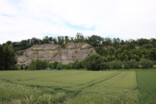 … und Blick flussaufwärts auf die Weserklippen bei Steinmühle