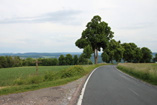 oberhalb der obersten Kurve, Blick bergab …