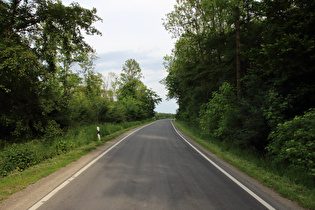 Blick zurück bergab