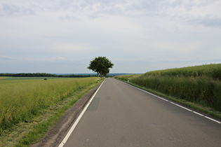 … und Blick nach Süden