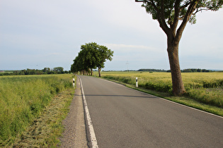 … und Blick nach Süden