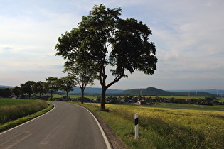 südlich oberhalb von Lüntorf, Blick auf Lüntorf …