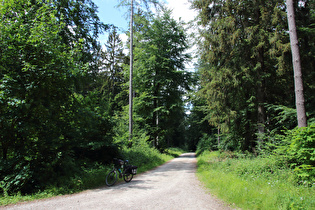 Geländepunkt „Feldberg“, Blick nach Nordwesten, …