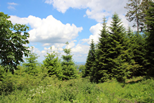 beim „Deister Nordblick“, Blick nach Nordosten