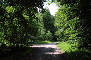 Reinekensiekskopf, Blick nach Nordwesten