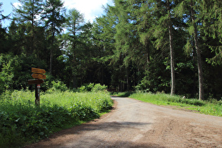 Kammweg, Abzweig der Abfahrt nach Barsinghausen