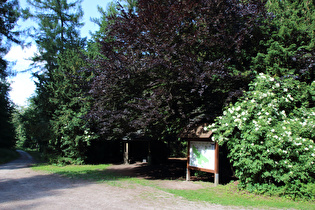 Geländepunkt „Kreuzbuche“, Blick nach Norden