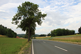 … und Blick nach Westen