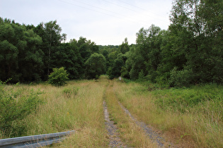 Reste des Kolonnenweges an der Zonengrenze