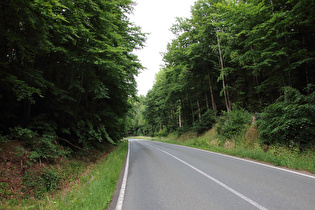 Blick bergab über dei Nordrampe