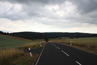 Blick nach Westen zum Frauenseer Forst