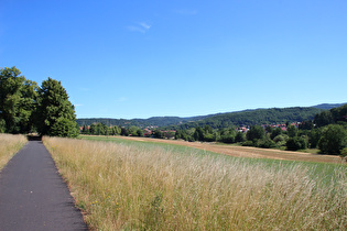 zwischen Barchfeld und Bad Liebenstein, Blick über Bad Liebenstein in den Thüringer Wald …