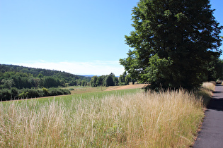 … und Blick über das Grumbachtal zur Vorderen Rhön am Horizont