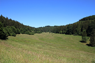 Blick ins Inselwassertal talaufwärts