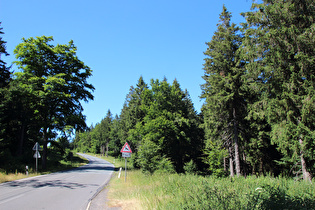 weiter oben, Blick bergauf