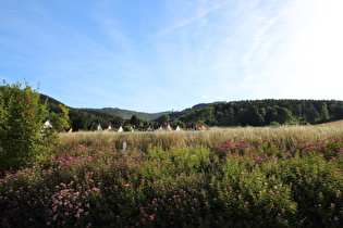 in Cabarz, Blick zum Großen Inselsberg