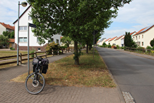 kurz nach auf der Inselsbergstraße Etappenstart in Cabarz