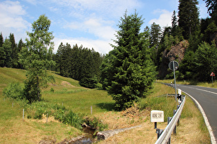 im Langenbachtal, Blick talaufwärts