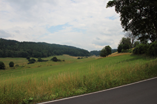 Rotteroder Höhe, Nordrampe, Blick zur Passhöhe