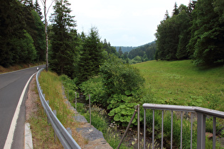 der Haselbach im Kanzlersgrund, Blick flussaufwärts …