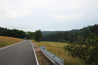 Kanzlersgrund unterhalb des Hohen Stein, Blick talaufwärts …