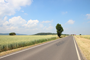 zwischen Wölfis und Ohrdruf, Blick nach Nordwesten zum Goldberg, …