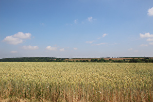 … und Blick nach Nordosten zum Standortübungsplatz Ohrdruf mit dem Hardt