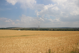 … Blick zum Standortübungsplatz Ohrdruf …