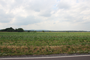 … Blick zum Großen Inselsberg …