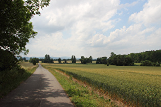 zwischen Emleben und Gospiteroda, Blick zum Großen Inselsberg