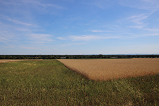 zwischen Scherenbostel und Bissendorf, Blick nach Süden