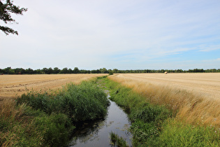 … und Blick flussabwärts