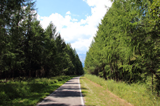 Blick in die Ötztaler Alpen